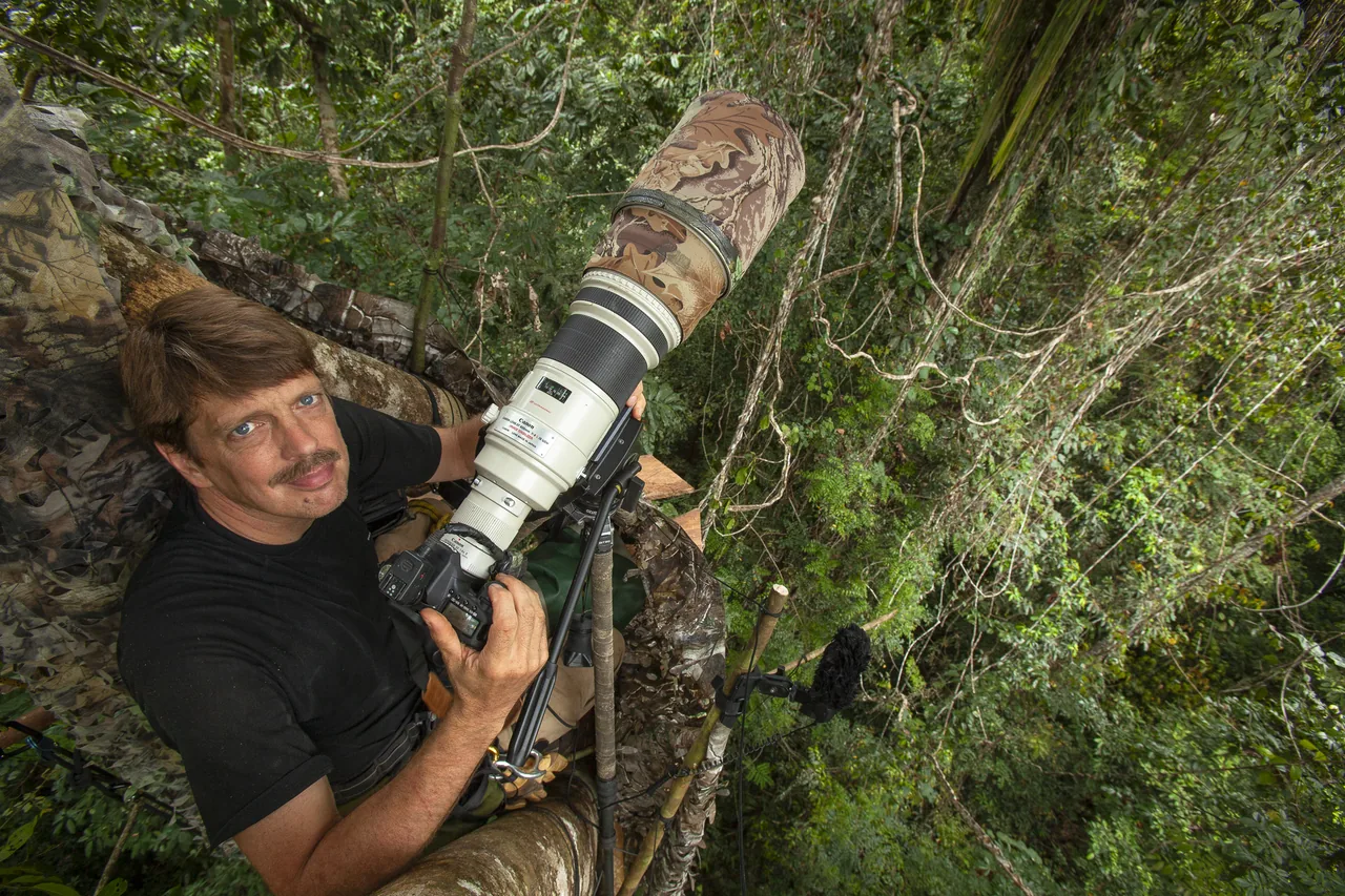 Tim Laman on a platform high in the rainforest canopy with a large telephoto lens